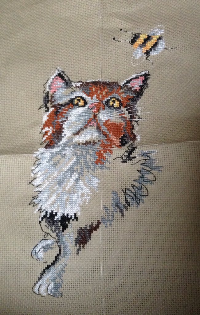 KVENKOSTUR GÓÐUR ALERT!!!