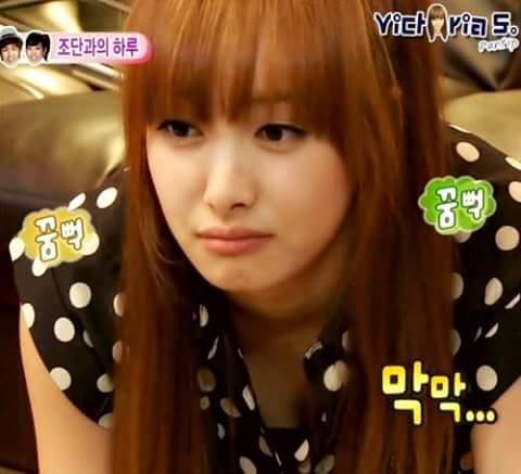 nadakbaled's tweet photo. #MeUsLoveUVictoriaUnni
#EGyptainMeUs
#MeUsSupportVictoria https://t.co/ESIVns97vu