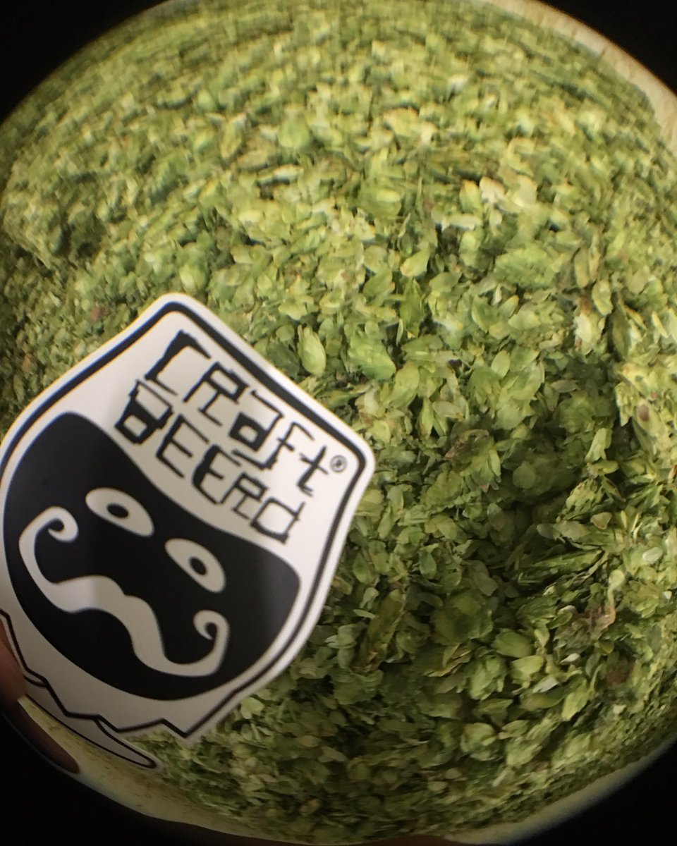 HOPS FOR DAYS 🍻🌲