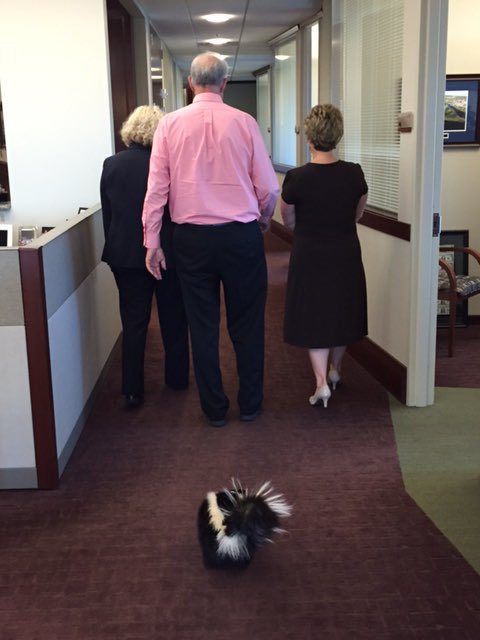 You never know what may follow you on the 4th floor <a href="/Royal_CU/">Royal Credit Union</a> @JanJohn57121989 <a href="/JonHehli/">Jon Hehli</a> #nostinkyfees #isitjon?