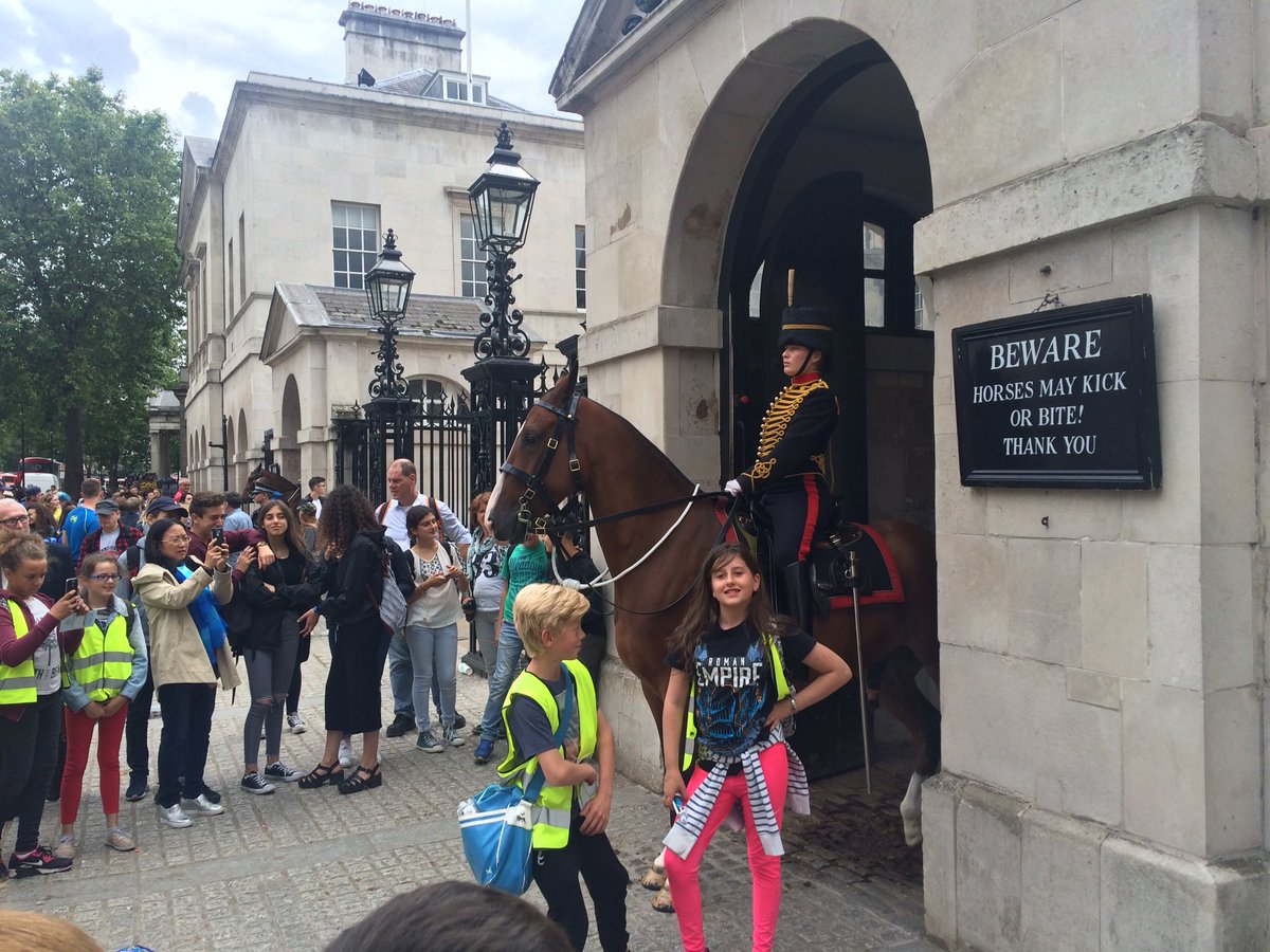 Meeting the magnificent Queen's horses at Horse Guards Parade.