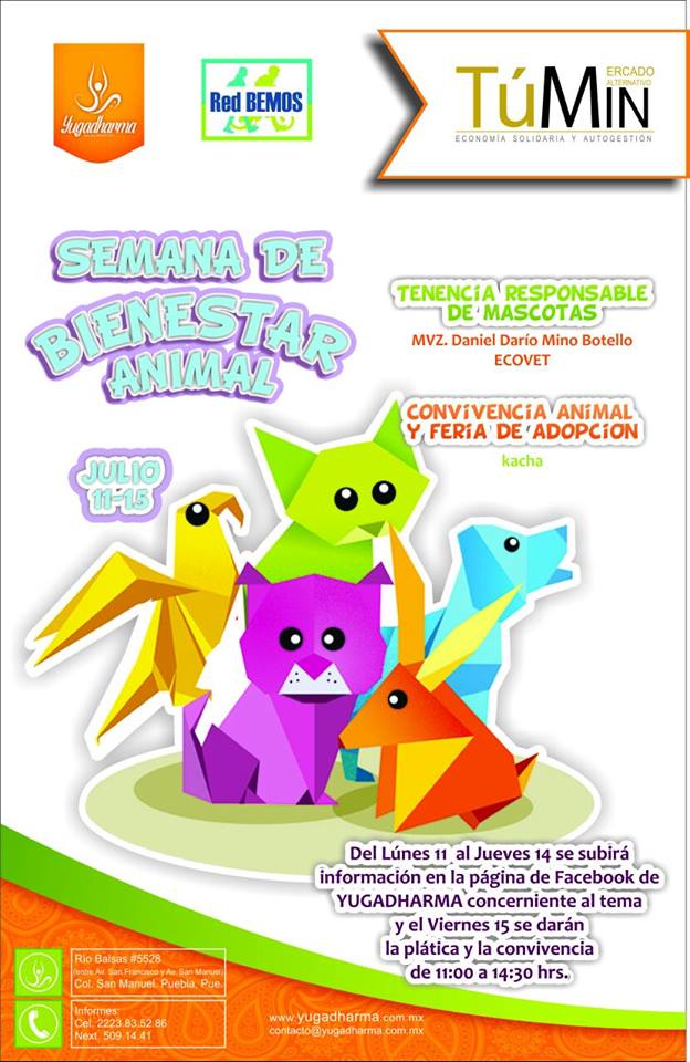 RedBEMOS's tweet image. #RedBEMOS #CulturaViva invita a Semana de Bienestar Animal.  redbemos.com/semana-de-bien…