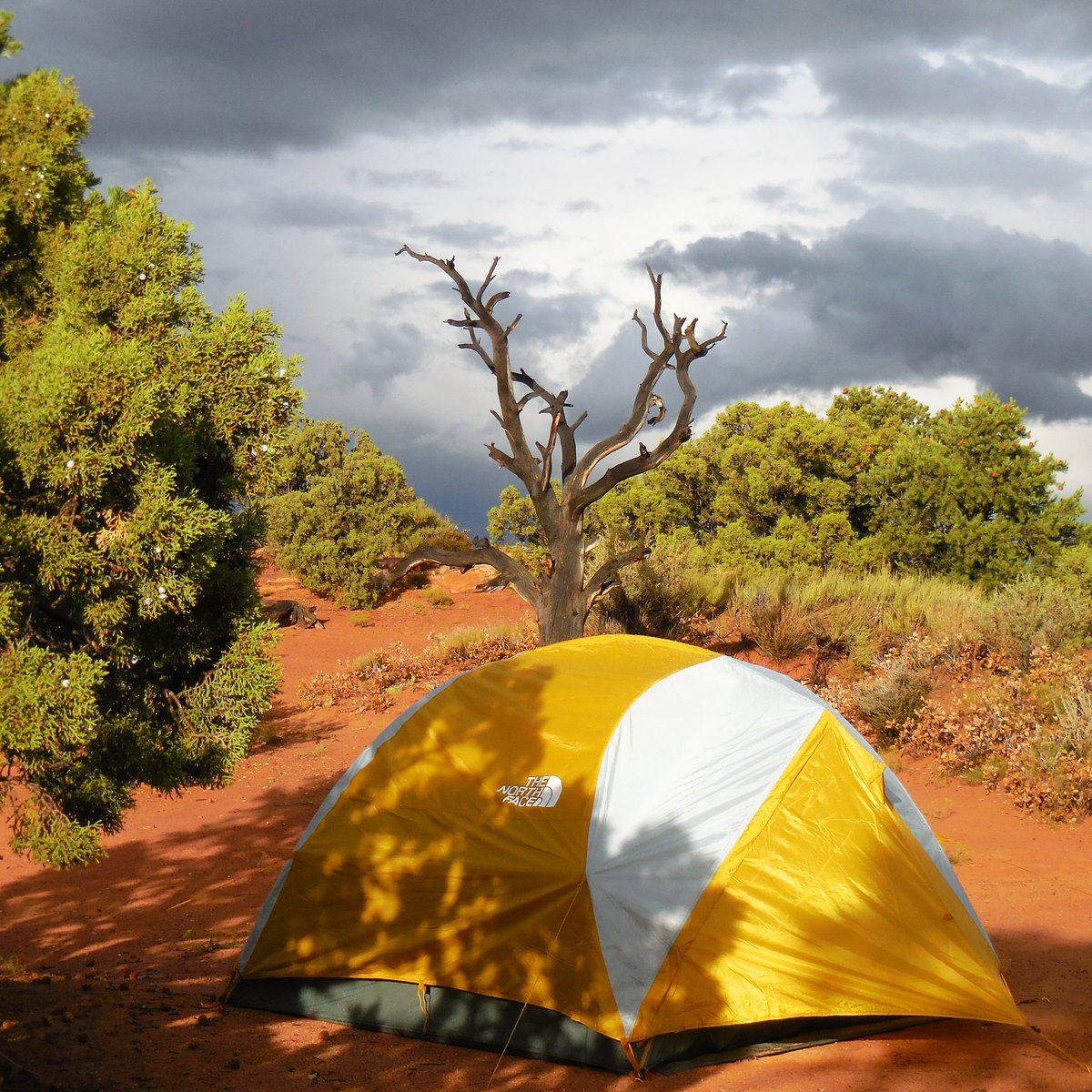 justerinable's tweet image. The clouds opened, rain/hail, safe and dry. Arches NP #NeverStopExploring #TNFContest