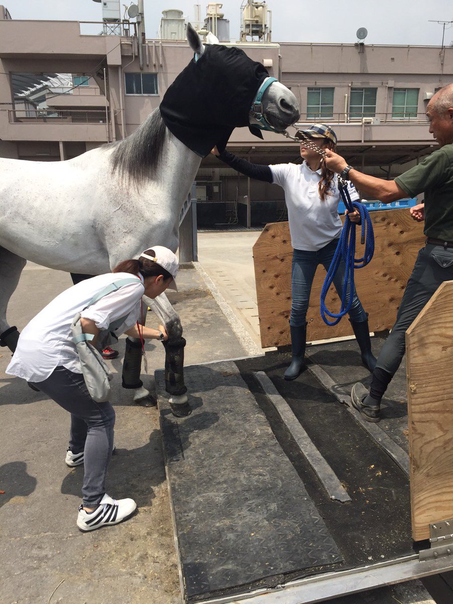 東京シティ競馬 Tck 先ほど ビービーシェンロンを乗せた馬運車が埼玉の乗馬クラブへ向けて出発いたしました 最初は馬 運車に乗るのを嫌がり 最終的に目隠しをして乗り込みました シェンロンはもっとtckに残って誘導馬のお仕事を続けたかったのかも 東京シティ競馬 Tck 先ほど ビービーシェンロンを乗せた馬運車が埼玉の乗馬クラブへ向けて出発いたしました 最初は馬 運車に乗るのを嫌がり 最終的に目隠しをして乗り込みました シェンロンはもっとtckに残って誘導馬のお仕事を続けたかったのかも