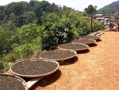 SupplyTea's tweet photo. #Chinese #wholesale #blacktea loose tea for #healthfood https://t.co/uwbSM4VspQ https://t.co/3xxiylXy7C