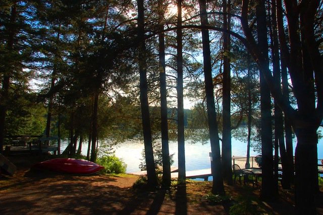 LifeAtLakewoods's tweet photo. FREE DAY @Algonquin_PP , https://t.co/PePvnFRa7K and all @OntarioParks, Friday, July 15, 2016. #HPHP https://t.co/SbQkYKiwLJ