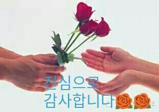 rgtech111's tweet image. 성주참외 중국에 팔라 하고 대한민국에선 사 먹지 맙시다.