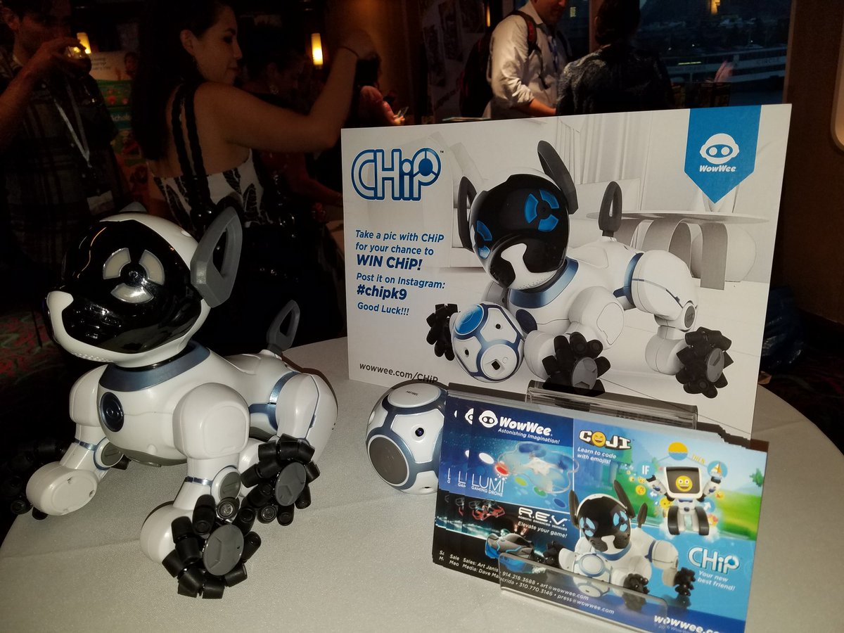 HaveSippy's tweet image. My son would flip if we won #chipk9 from @WowWeeWorld , he loves him.  #BBNYC  #sweetsuite16