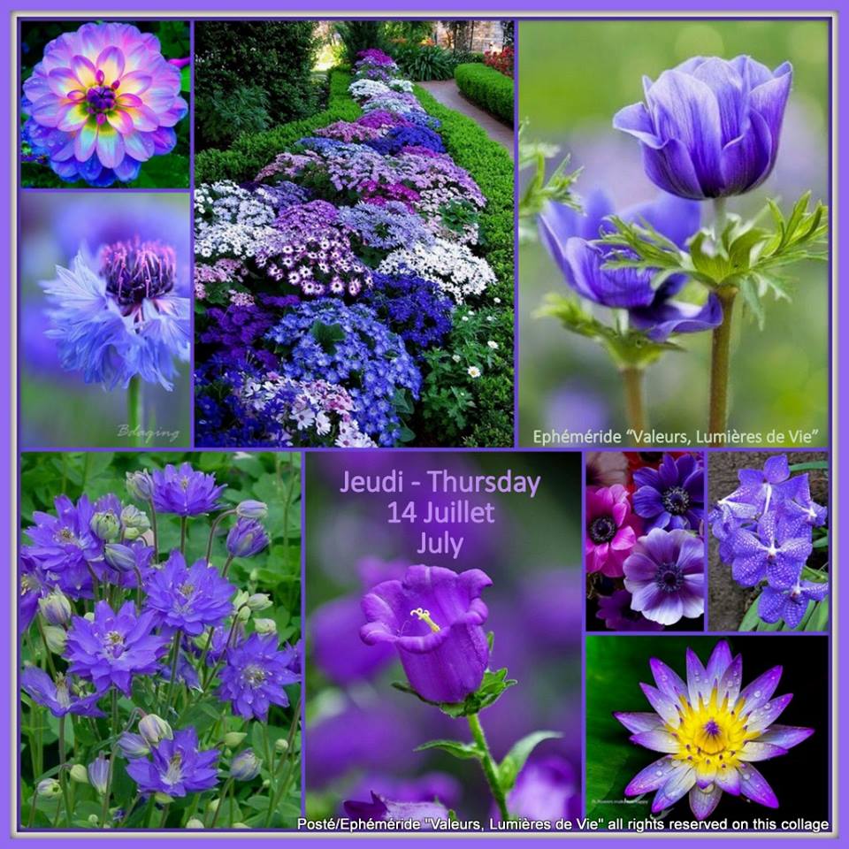Sylv33's tweet photo. Merci Sere, bon jeudi ! @serenel14278447 @mijeane4 @clomimine @KinetLaurent @MomoPapat @dom9272 @AymonJenny @RSCLdan https://t.co/n6FRAr9Q8r