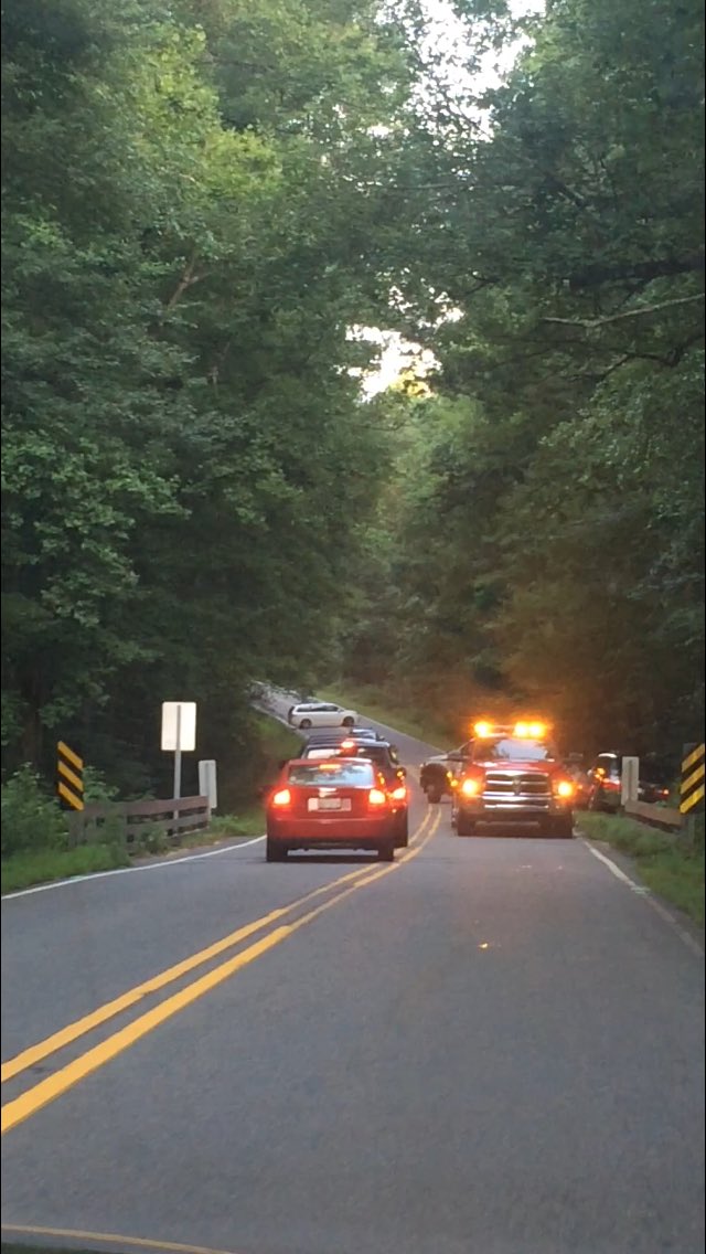 When you try to do the "right thing" and pullover to catch a Pokémon #DidntEvenCatchHim <a href="/CatchThemAlI/">Catch Em All</a>