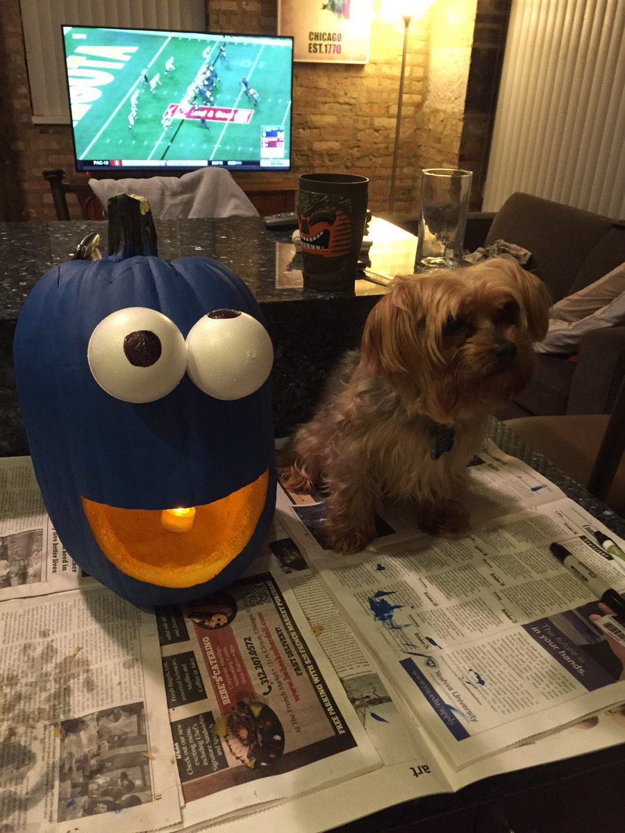 J_nite77's tweet photo. #PeakProperties #adorablepets https://t.co/gampgZpliI
