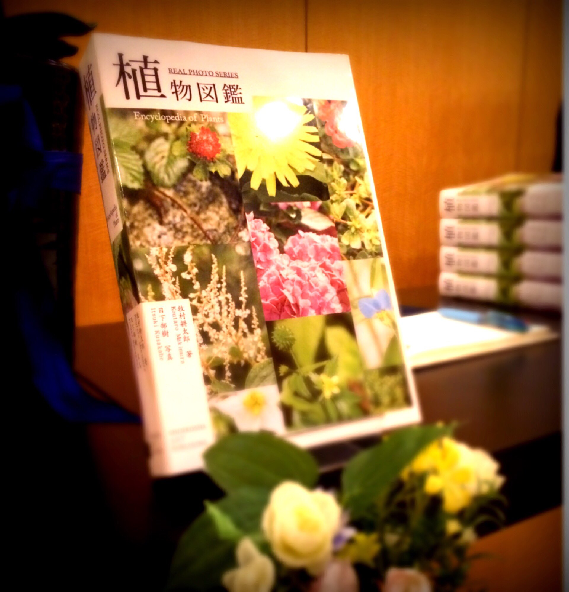 石塚慶生 映画 植物図鑑 昨日までの集計で 興行収入億円を突破 誠にありがとうございます まだご覧になってない方お早めに劇場へ 最高のラブストーリーです 植物図鑑 岩田剛典 高畑充希 Shokubutsuzukan T Co Dgwlxlrspw Twitter