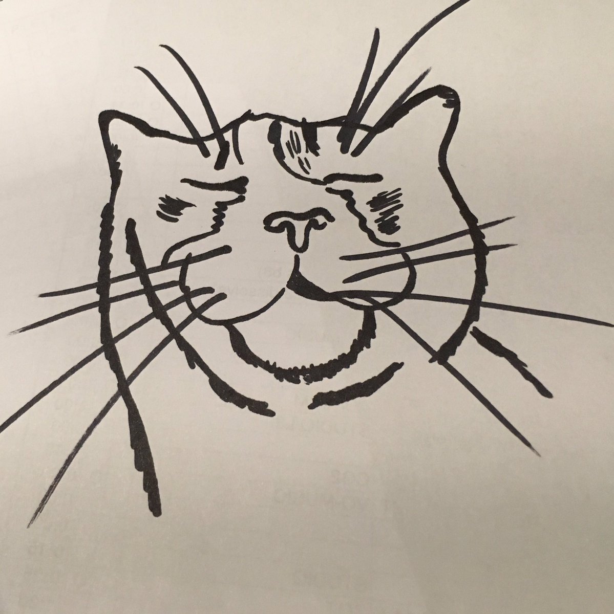 RockyIsCat's tweet photo. #RockyArt https://t.co/vUhjRskVR6