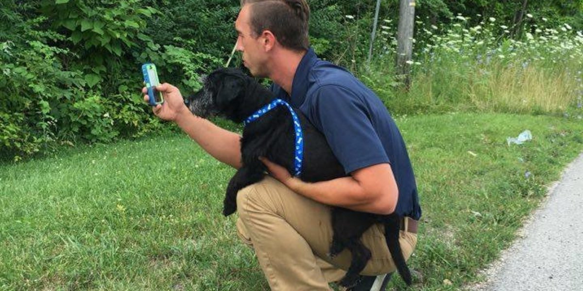 HuffPost's tweet photo. Animal shelter wants Pokemon Go players to walk dogs https://t.co/hHaukWO4w7 https://t.co/g3xBcBYlhH