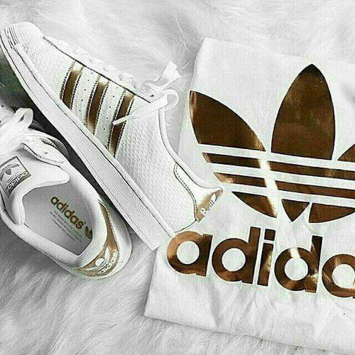 chooseonefl's tweet photo. ･ﾟ✧✫ choose one☾*:･ﾟ✧ https://t.co/cWCB1ackpf