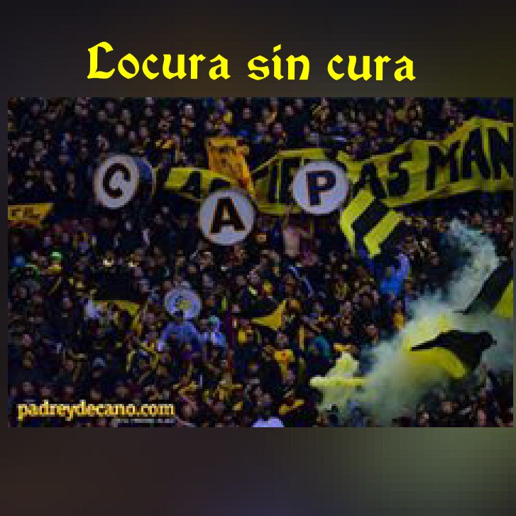 LuliLopezManya's tweet photo. Locura sin curs https://t.co/6GYxNdQHv9