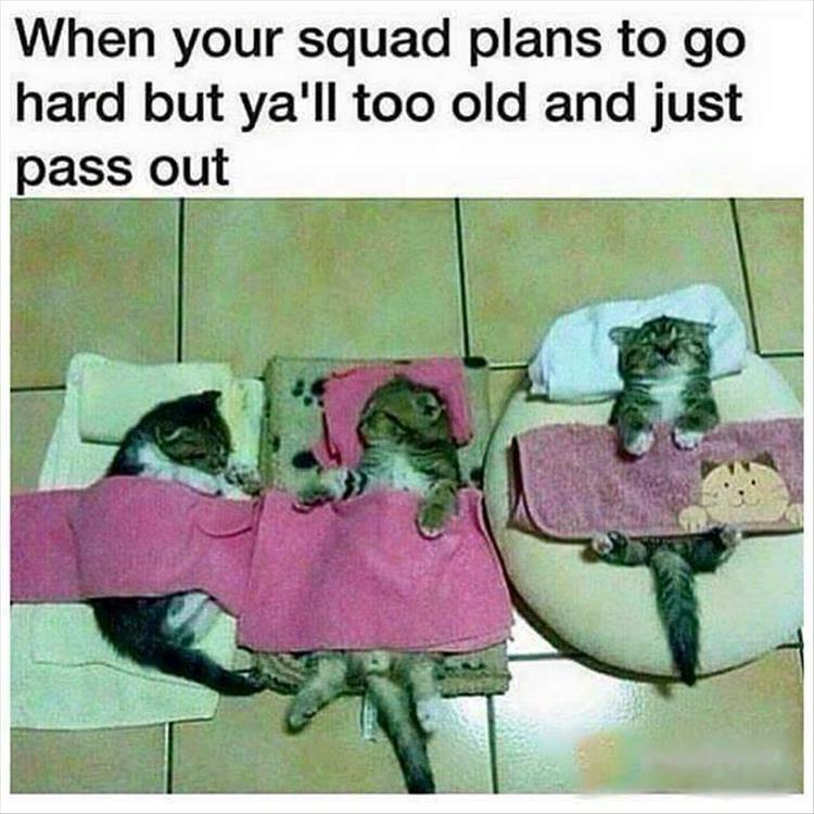 CauseWereGuys's tweet photo. My squad lately https://t.co/dPke1TTx9D
