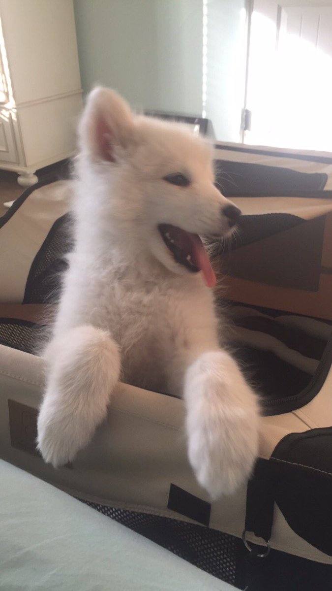 jordandinges's tweet photo. this is what I wake up to every morning https://t.co/QUUARq2wpq