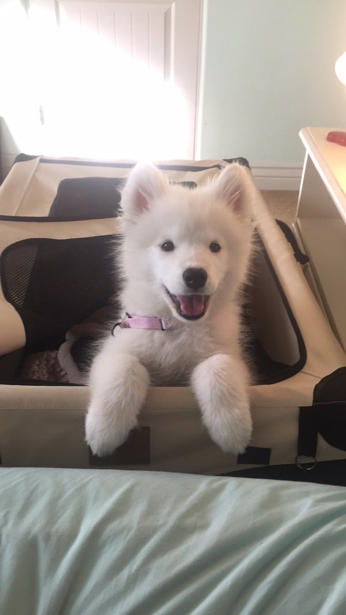 jordandinges's tweet photo. this is what I wake up to every morning https://t.co/QUUARq2wpq