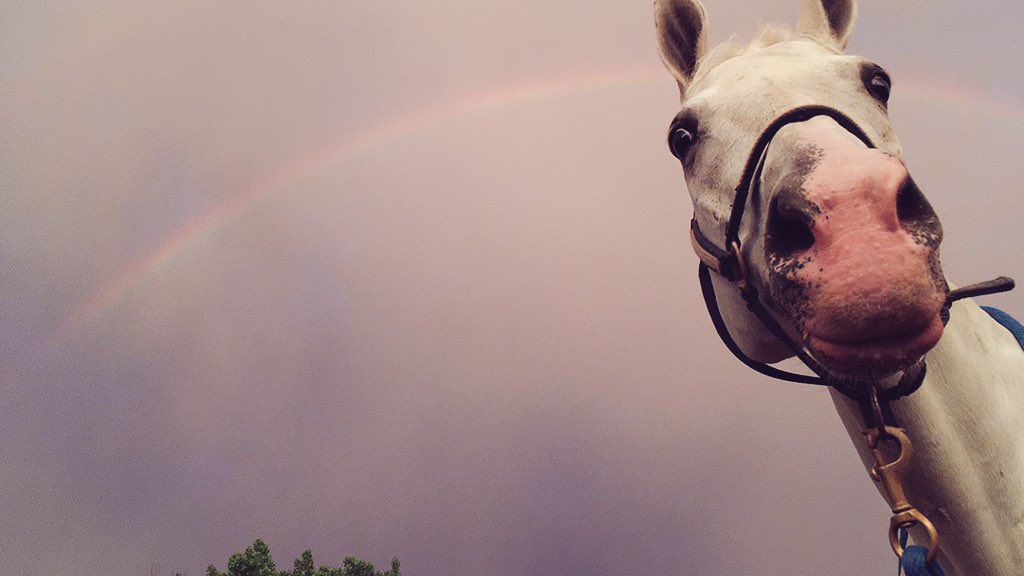 ashelllly's tweet image. obsessed with you 💘