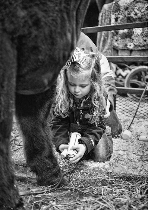 StockShowFlow's tweet image. Goals on goals