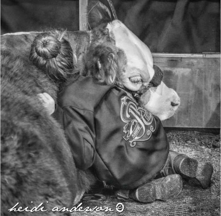 StockShowFlow's tweet image. Goals on goals