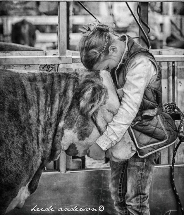 StockShowFlow's tweet image. Goals on goals
