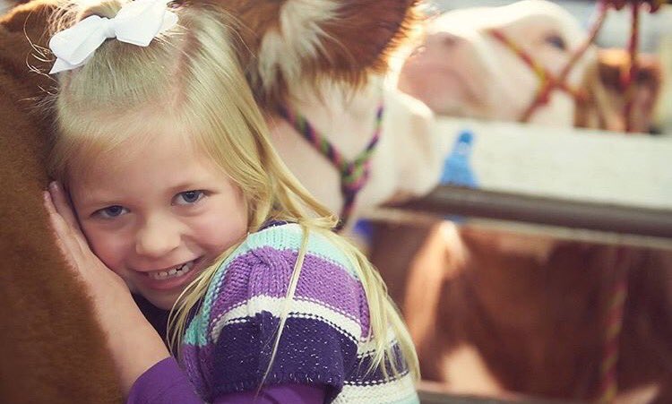 StockShowFlow's tweet image. Goals on goals