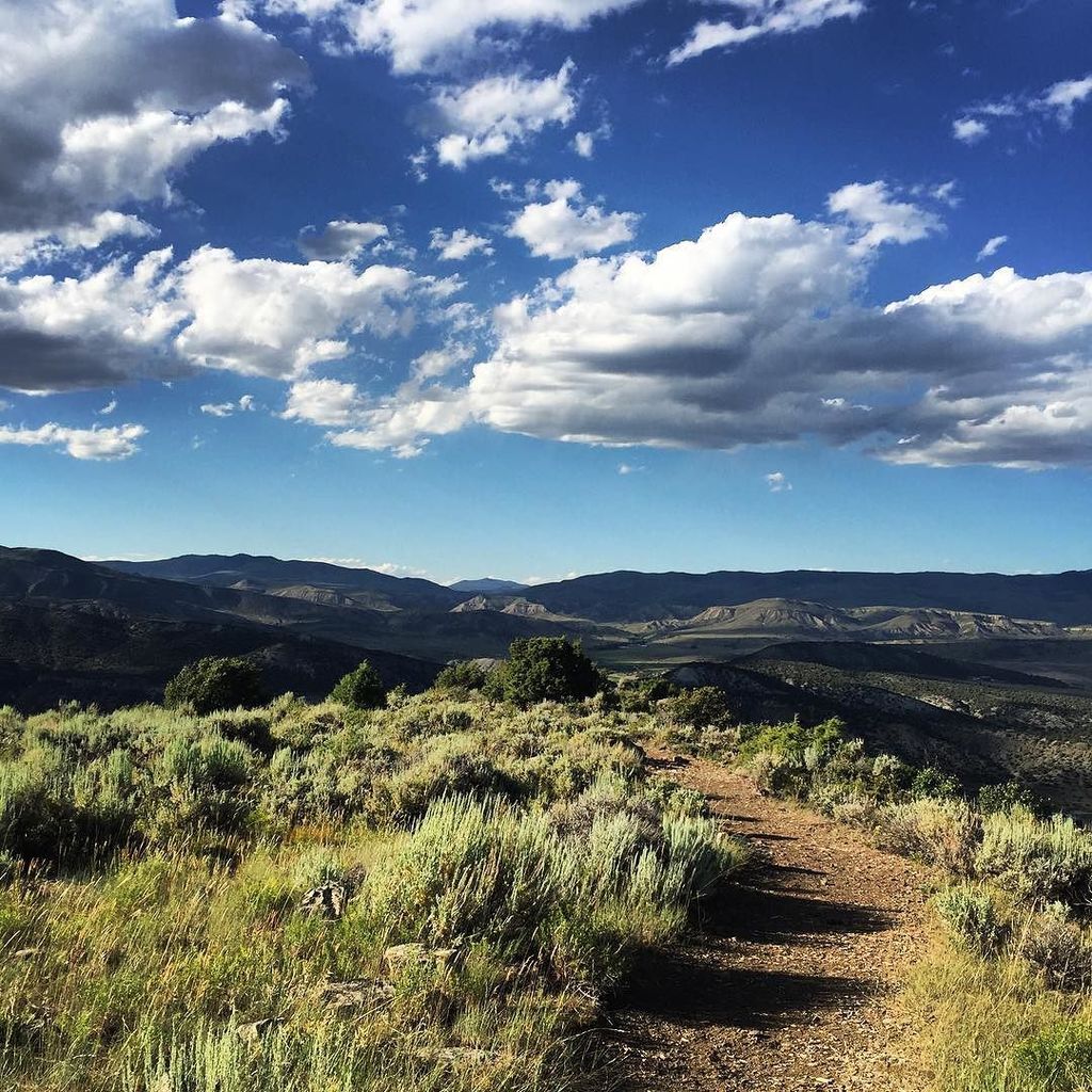 evening strolls ift.tt/29FQqhQ