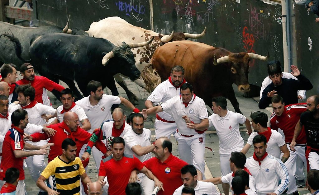Hasta el año que viene San Fermin!
