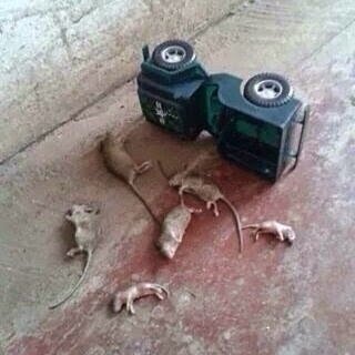 TectronicsAudio's tweet image. #wearseatbelt
They all didn&apos;t have seat belt on