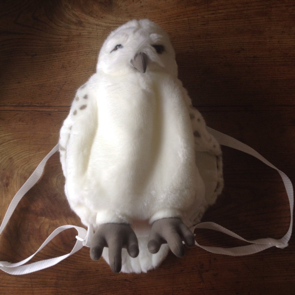 三國万里子 ハリーポッターの白フクロウのリュック T Co Fs12spm7xg Twitter 三國万里子 ハリーポッターの白フクロウのリュック T Co Fs12spm7xg Twitter