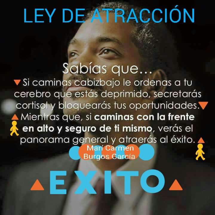 maricarmenburg4's tweet photo. #LeydeAtracción #Exiro :-) https://t.co/KoN9pQe2dV
