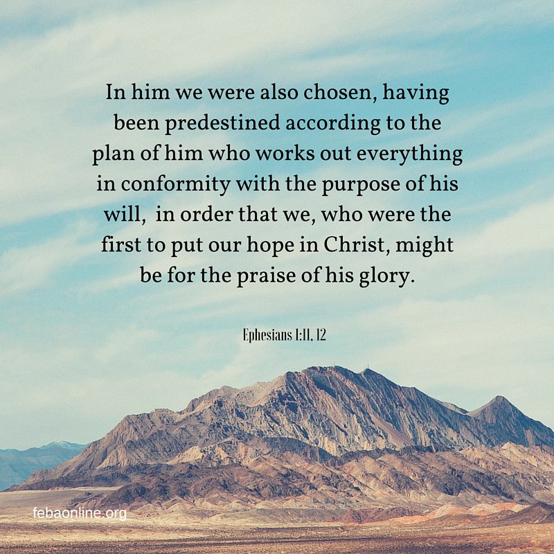Feba India On Twitter: "God Works Out Everything In Conformity With The  Purpose Of His Will #Purpose Https://T.co/Wck0L5Cbwg" / Twitter