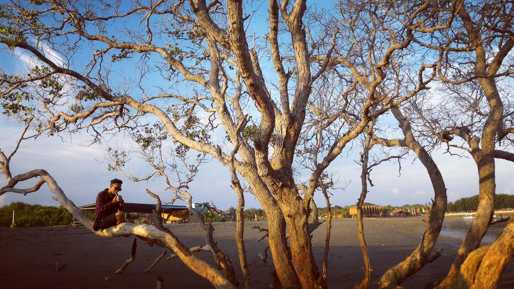 Andre Johevy (@andrelosstime) on Twitter photo 