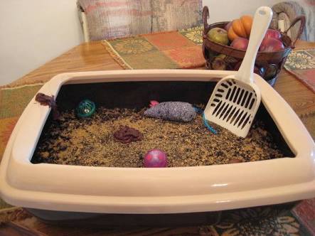 smartpetsstore tweet picture