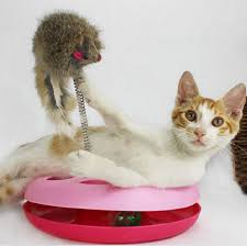 smartpetsstore tweet picture
