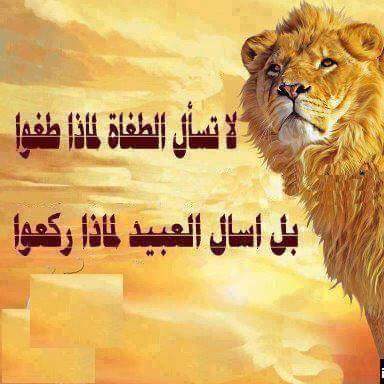 الحب الكبير (@sobh_yaser) on Twitter photo 