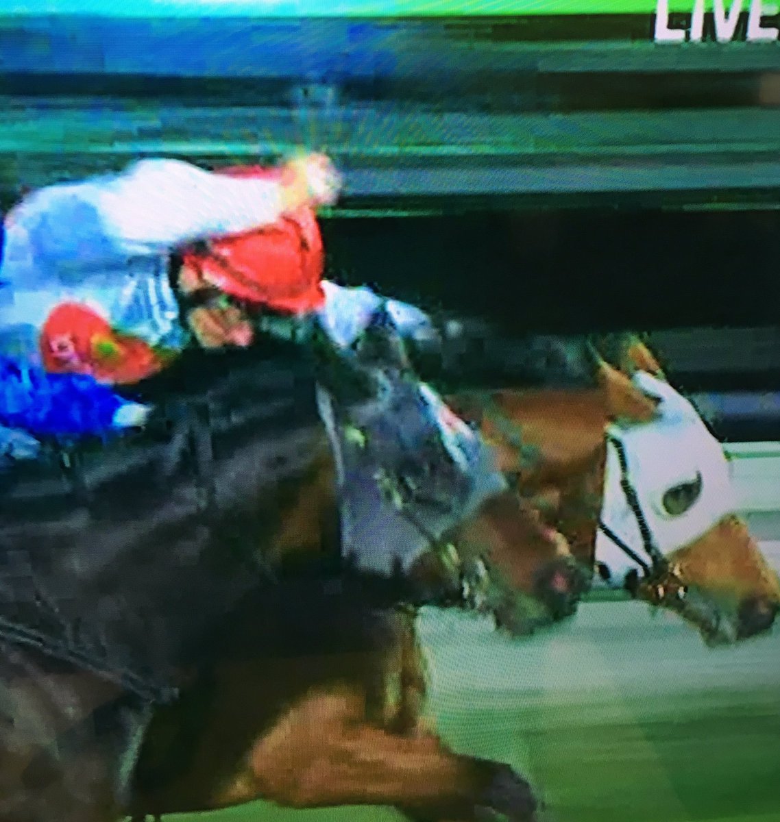 Dynamic Syndications tweet media