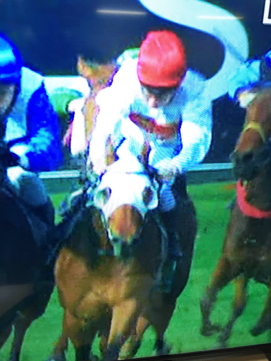 Dynamic Syndications tweet media