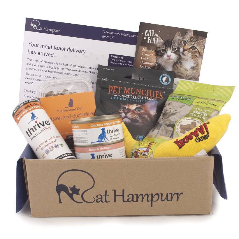 GeorginaGrogan_'s tweet photo. Giveaway for all my fellow cat ladies&gents >>> https://t.co/6xKXwbW6sz win a @cathampurr box! #30DaysOfSMBL https://t.co/EvAfh8sp5y