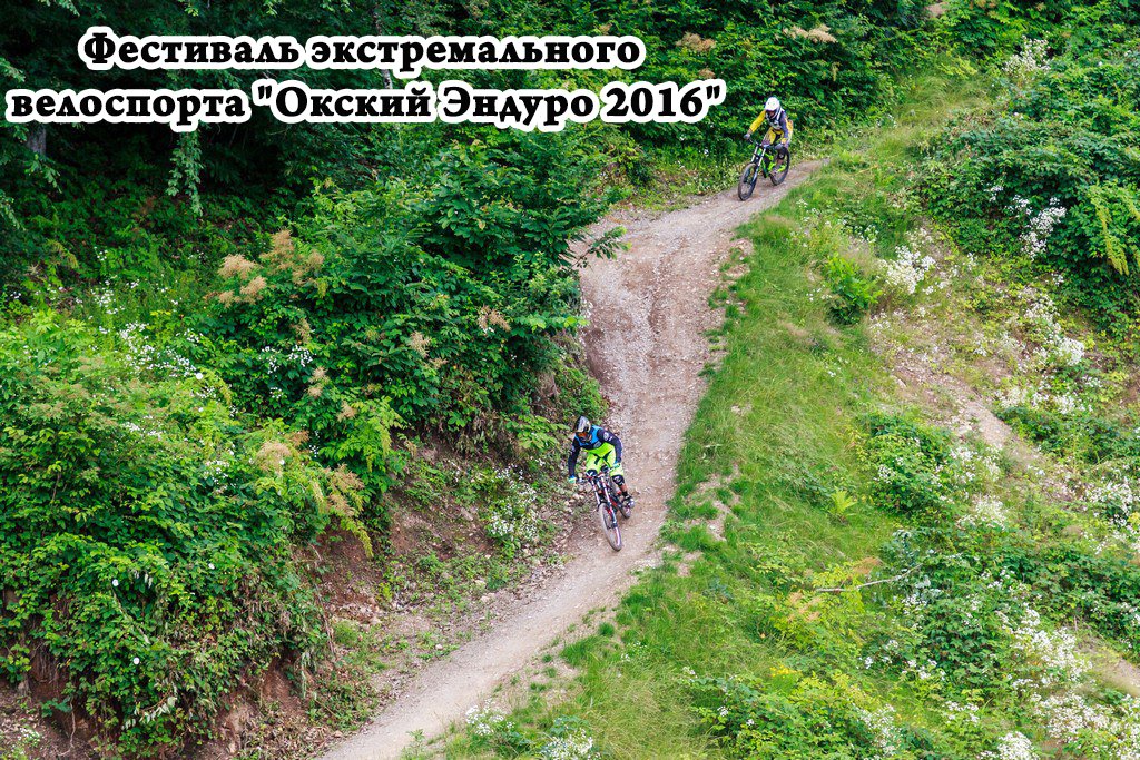 bfgorizont tweet picture