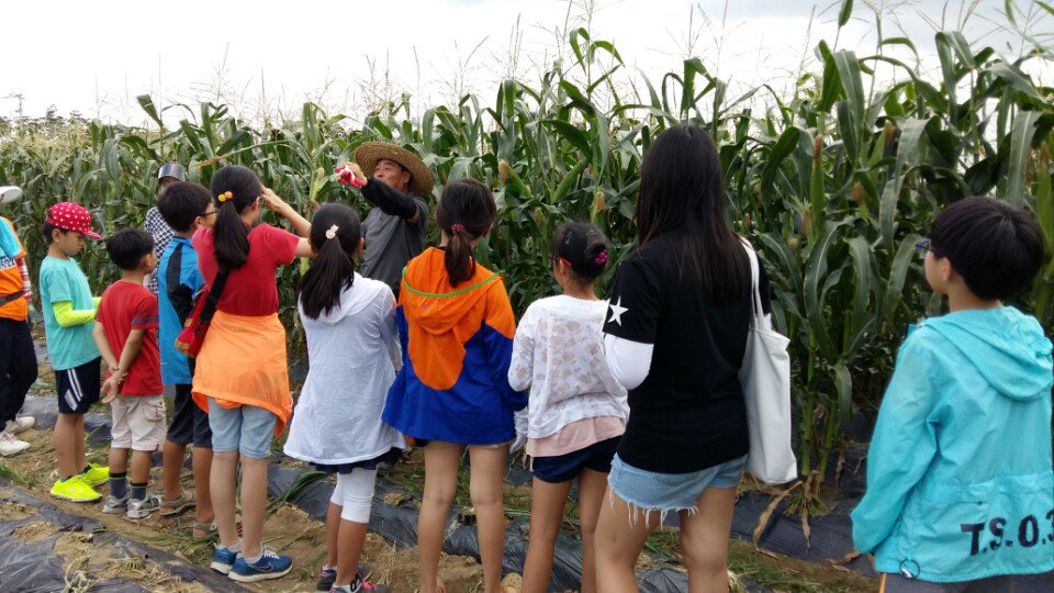 337337k1's tweet photo. 하대원동복지회관 공부방 친구들이 성남 시민농원으로 옥수수체험 왔어요
더운 날씨지만 옥수수도 따보고, 맛있는 찐옥수수도 먹고, 옥수수 선물도 받고...  신나는 시간...다음에 또 가고 싶어요. 감사합니다.~~ https://t.co/Hgpq98updk