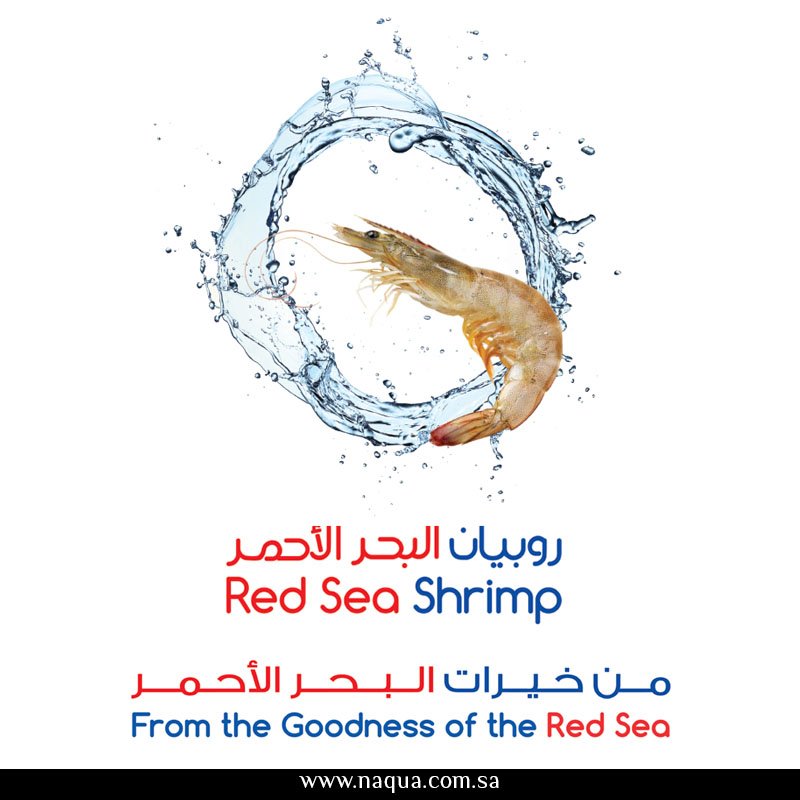 Naqua - نقوا tweet media