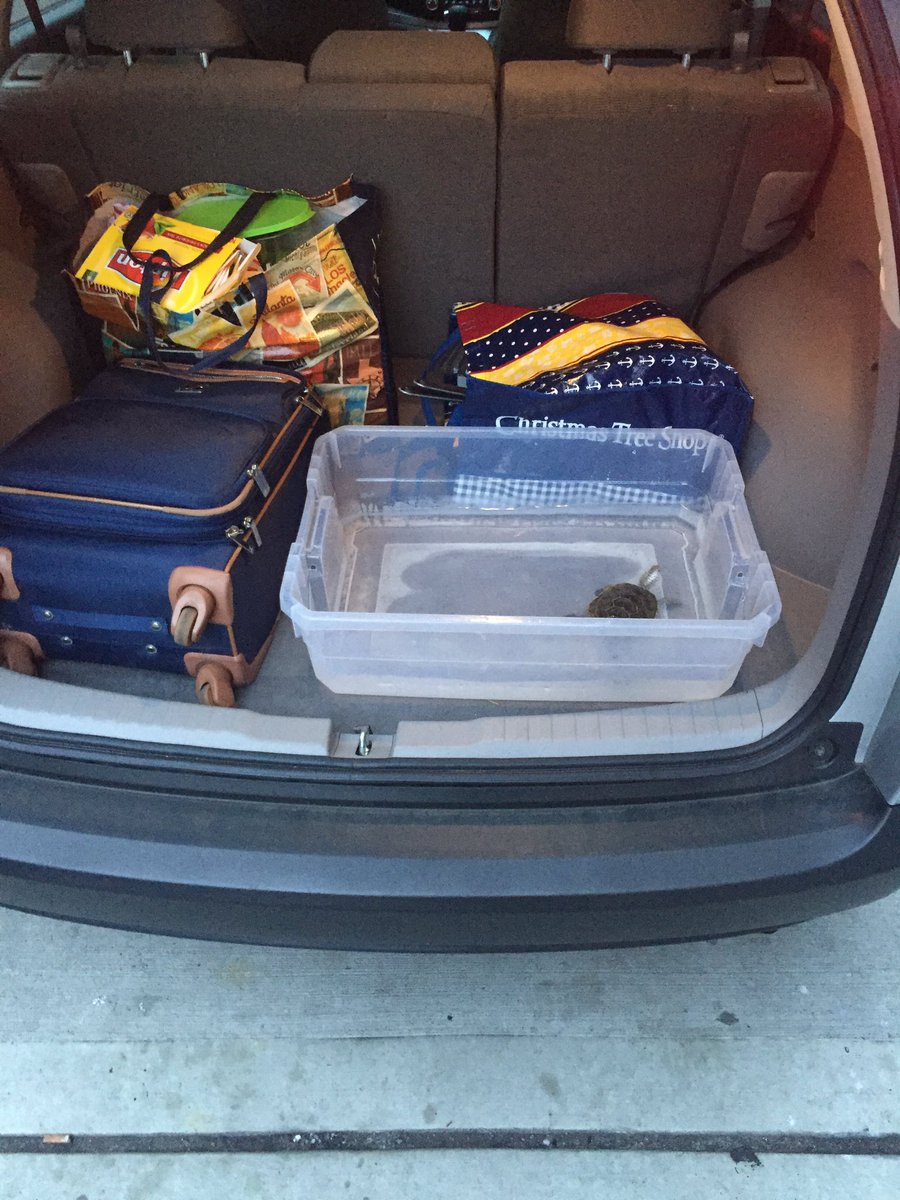 KRHOCT's tweet photo. Early morning road trip with Logan! #HesMoving https://t.co/oHREvUY7QO