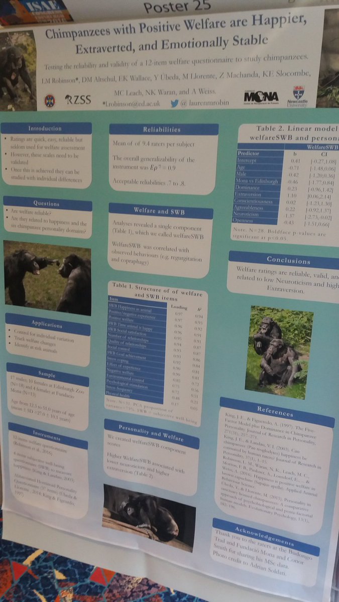 MarcBracke's tweet photo. RT @GoatsThatStare: Get your #chimps happy with positive #welfare @Laurenmrobin #ISAE2016 https://t.co/tCvFlTNEE8