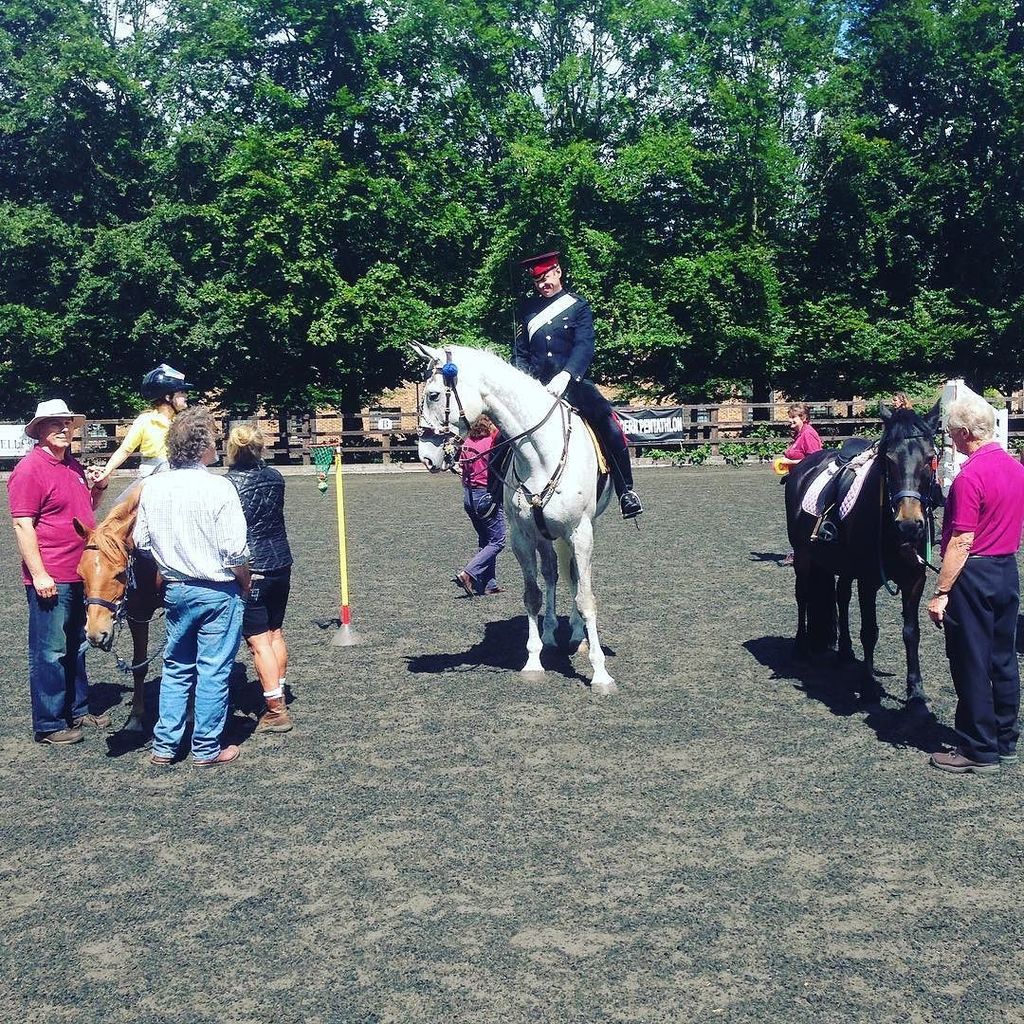 RDAnational's tweet image. Royal Blue trying out to become an RDA horse at @sandhurstrda ift.tt/29QwidF