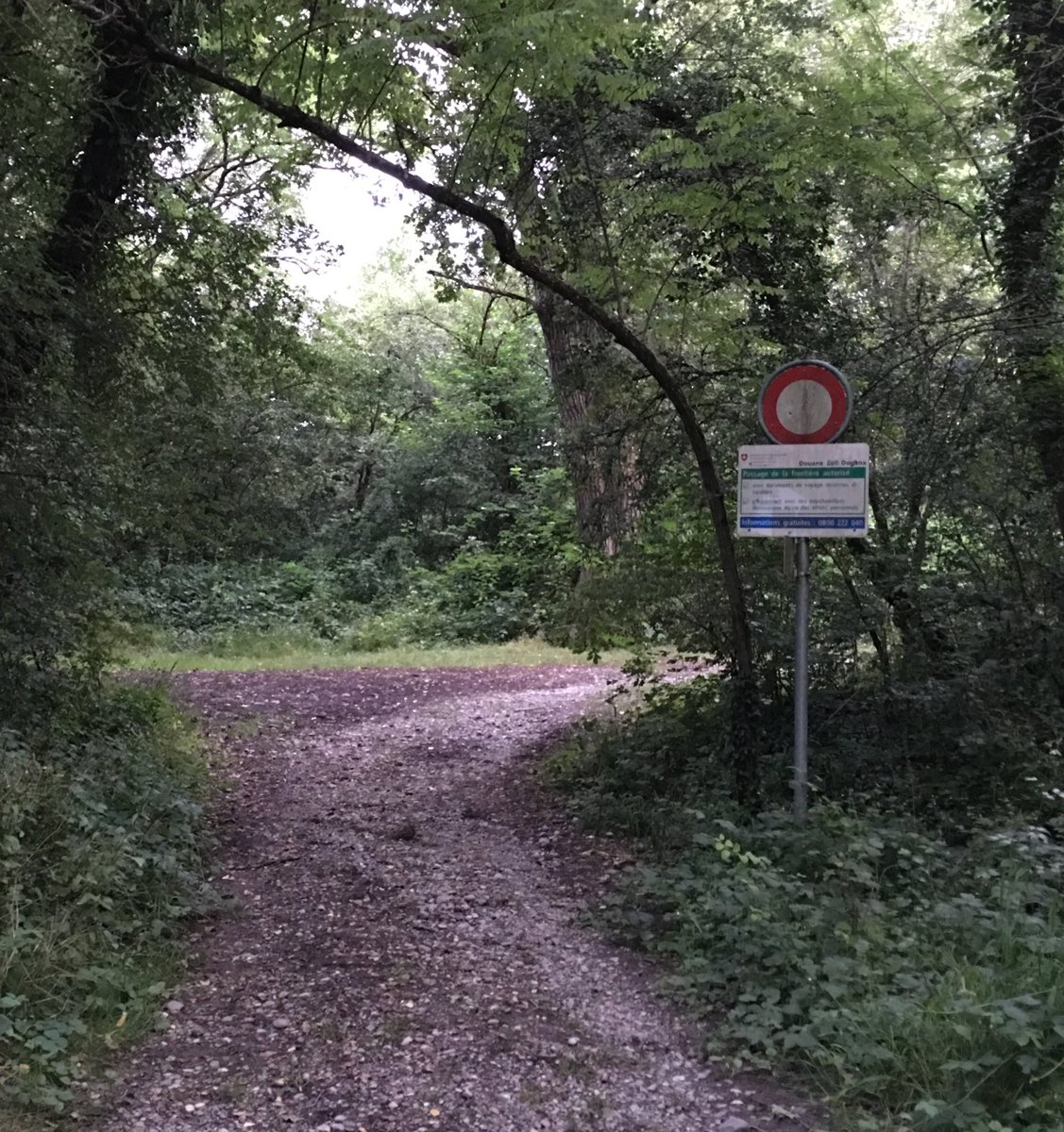 Petite balade en forêt, et hop! #frontière, mais dis-donc, comment va-t-on faire pour passer!?