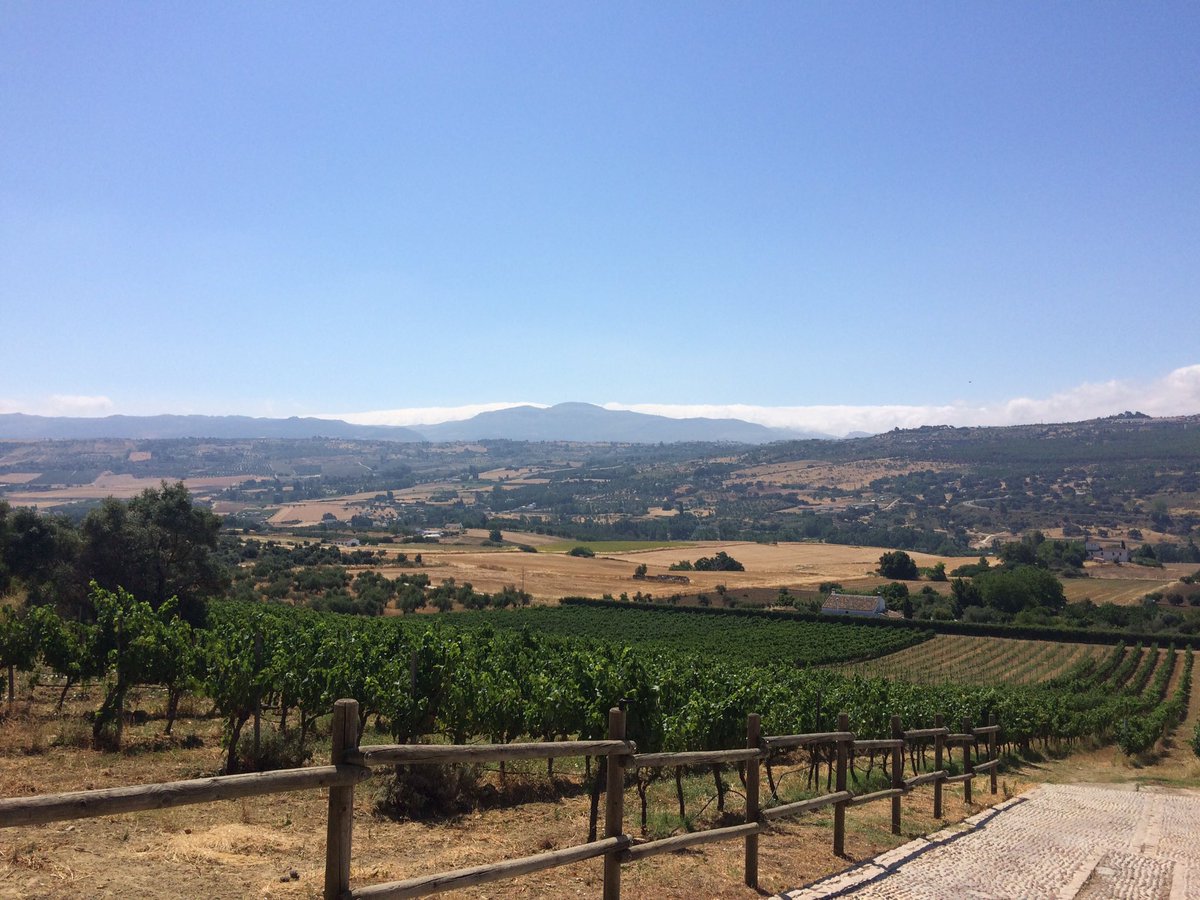 Este es uno de los motivos por los que #Ronda tiene un microclima especial para elaborar grandes #Vinotinto