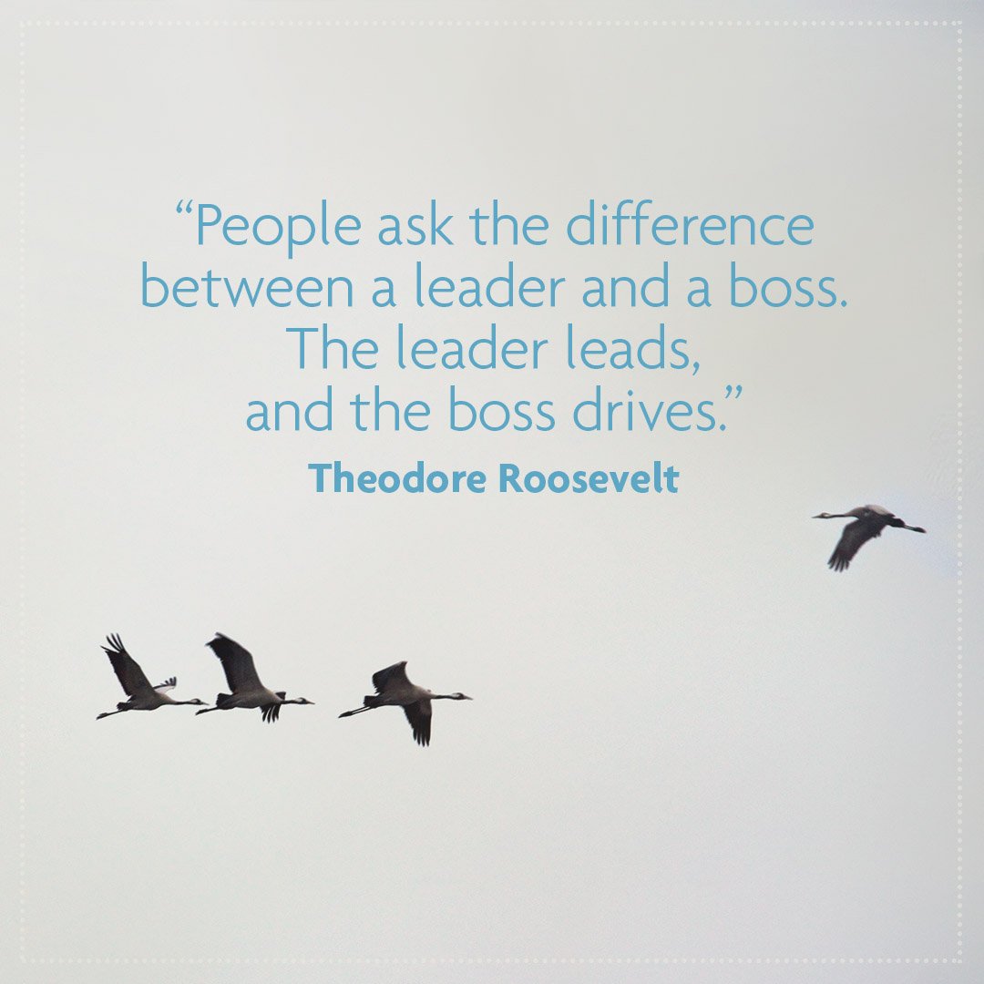 #CrossBoundaryLeadership #Leadership #Leader #Boss #LeadingBeyondAuthority #CulturalIntelligence #ThursdayThoughts